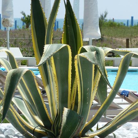Hotel Mediterraneo Suite&Residence リド・ディ・イエゾロ エクステリア 写真
